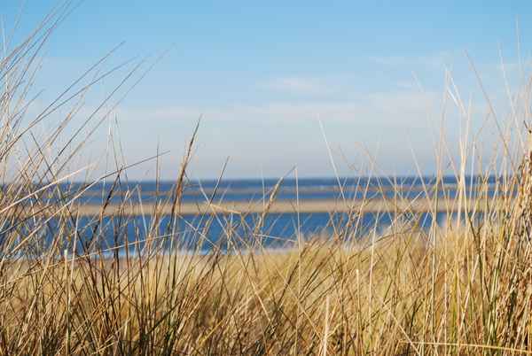 Nordsee und Dünen