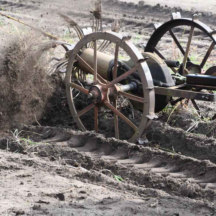 alter Kartoffelgrubber im Einsatz