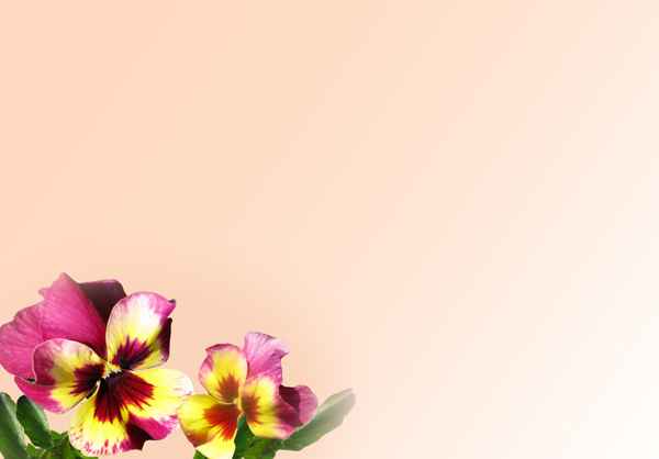 E-Card 1