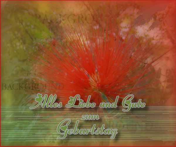 Blüte zum Geburtstag