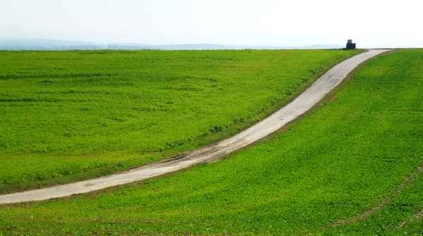 Weg durchs Grün