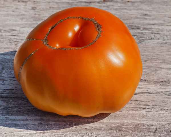 alte sorte "germans gold"