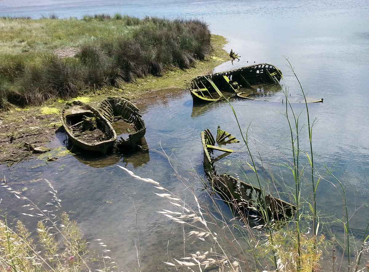 Wrack