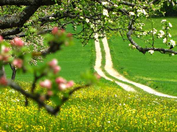 Frühlingsausflug durchs Feld