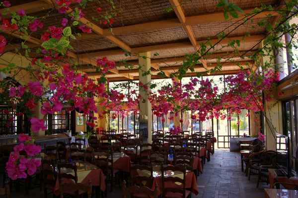 Üppig natürliche Pracht