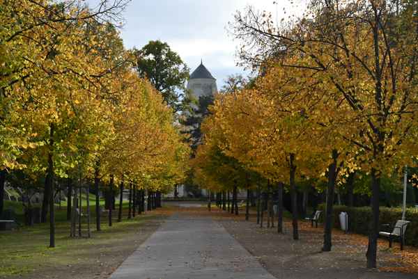 Herbst-Allee