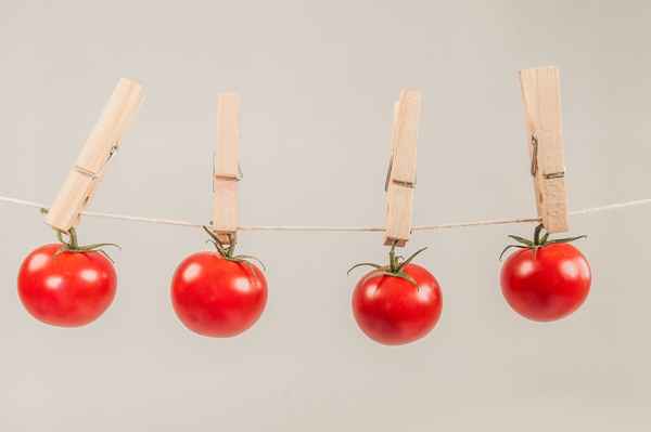 vegetarisch essen