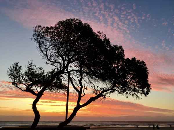 Am Strand von Strand 7