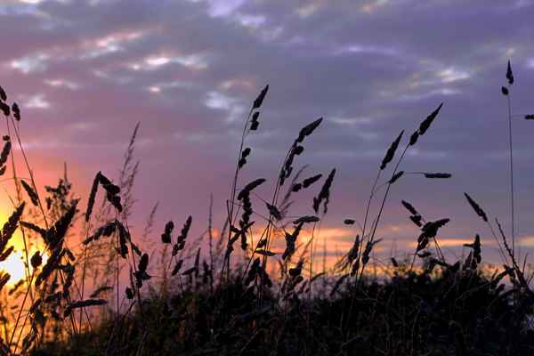 abends...
