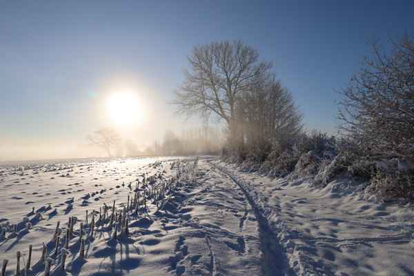 Sonnig-neblige Winterlandschaft