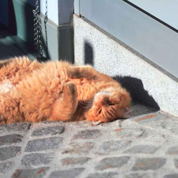 Den Herbst auskosten...