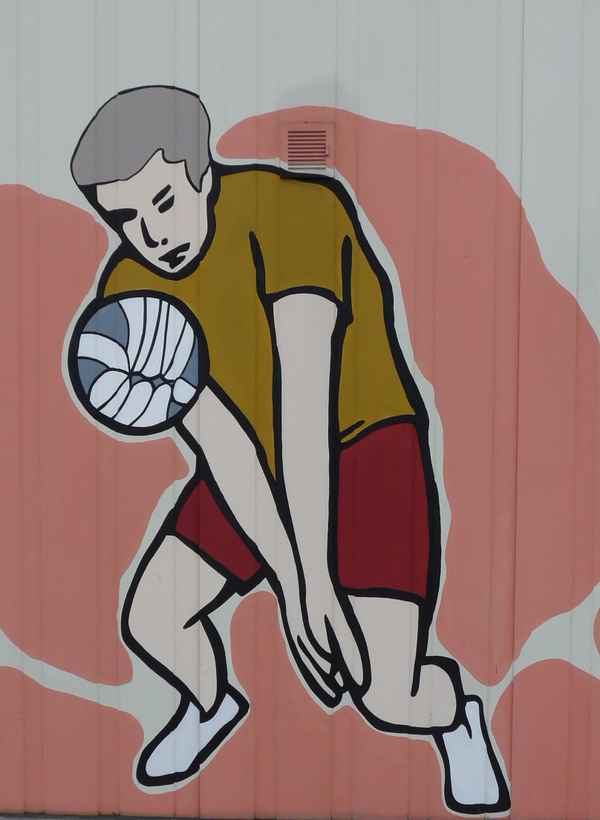 Volleyball