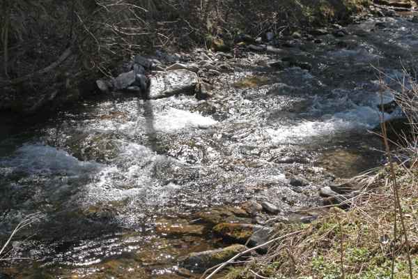 wildbach
