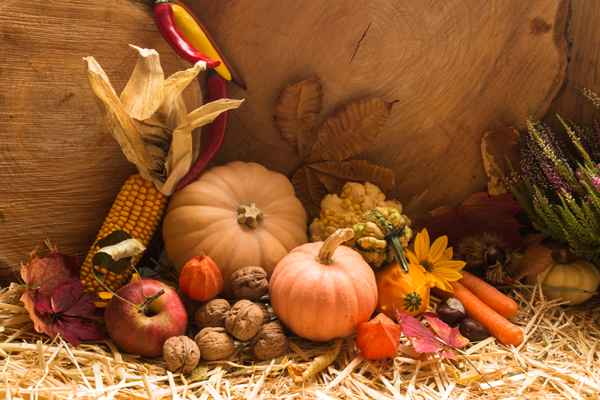 Herbstfr&uuml;chte
