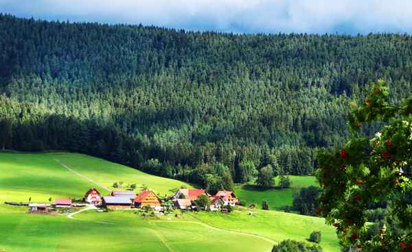 Schwarzwald - Bauernhof im Murgtal bei Baiersbronn