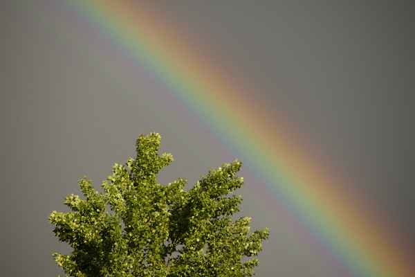 Regenbogen 5