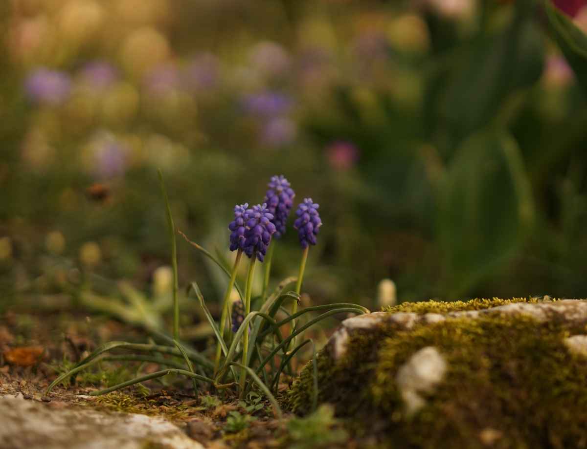 early springtime...