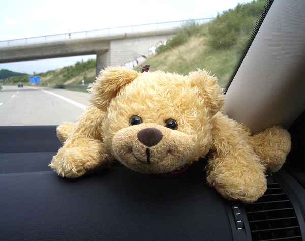Teddy fährt mit....